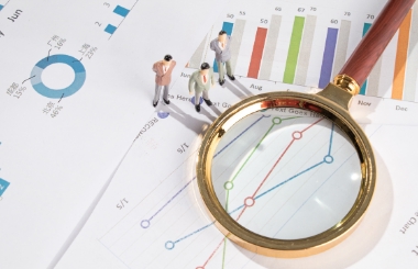 企業(yè)內部控制評價/審計咨詢