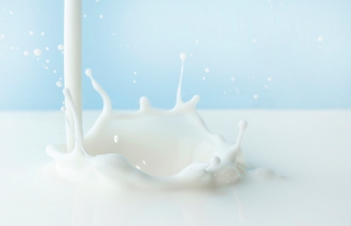 打造南國乳業(yè)第一品牌 | 某乳業(yè)品牌餐飲公司：運(yùn)營及混合所有制改革