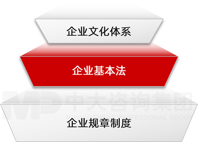 中大咨詢企業(yè)《基本法》建設(shè) 中大咨詢企業(yè)《基本法》建設(shè)