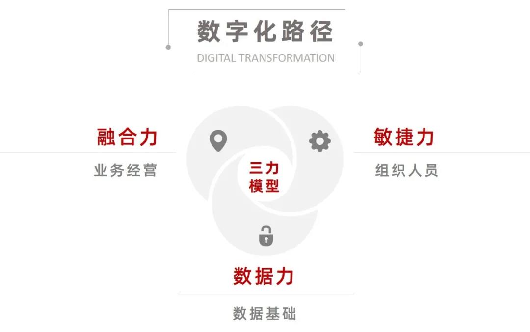 中大咨詢:數(shù)字化路徑三力模型 中大咨詢:數(shù)字化路徑三力模型