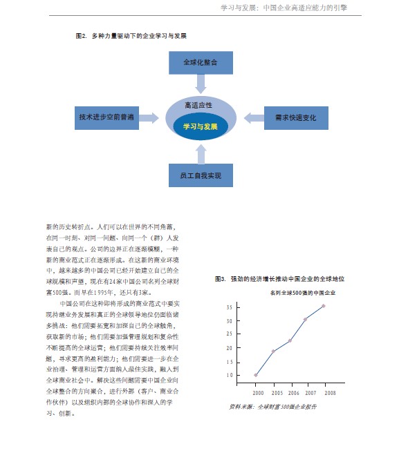 中大咨詢:學(xué)習(xí)與發(fā)展:中國(guó)企業(yè)高適應(yīng)能力的引擎 中大咨詢:學(xué)習(xí)與發(fā)展:中國(guó)企業(yè)高適應(yīng)能力的引擎
