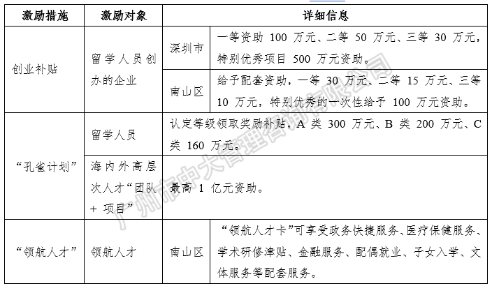 中大咨詢:粵港澳大灣區(qū)人才政策研究報告(2018簡版) 中大咨詢:粵港澳大灣區(qū)人才政策研究報告(2018簡版)
