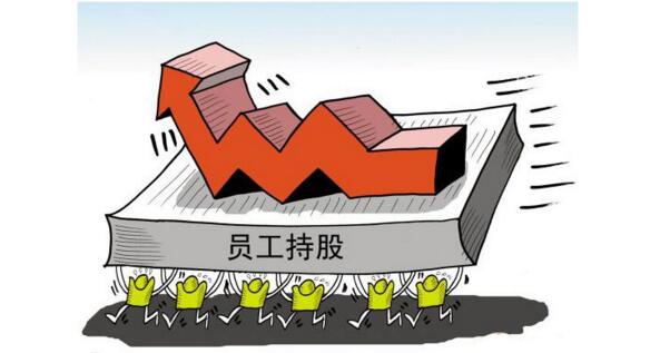 中大咨詢:員工持股 中大咨詢:員工持股