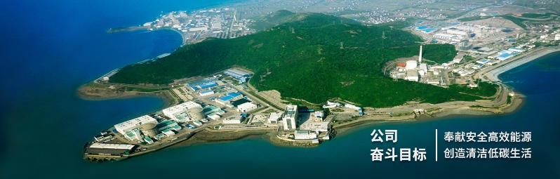 中大咨詢:某大型核電公司市值管理項目 中大咨詢:某大型核電公司市值管理項目