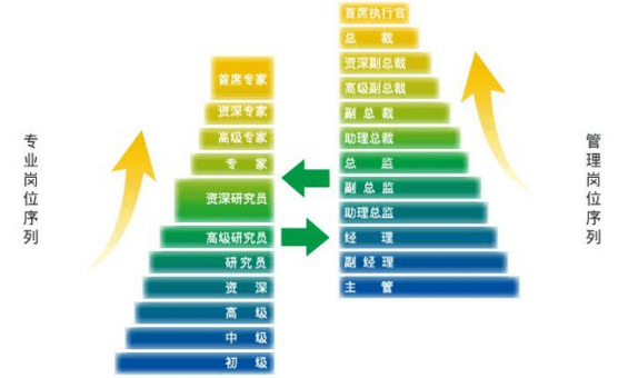 中大咨詢:企業(yè)如何創(chuàng)新人才培養(yǎng)模式? 中大咨詢:企業(yè)如何創(chuàng)新人才培養(yǎng)模式?