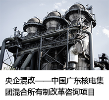 重組項(xiàng)目可行性研究 重組項(xiàng)目可行性研究