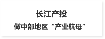 企業(yè)戰(zhàn)略規(guī)劃 企業(yè)戰(zhàn)略規(guī)劃
