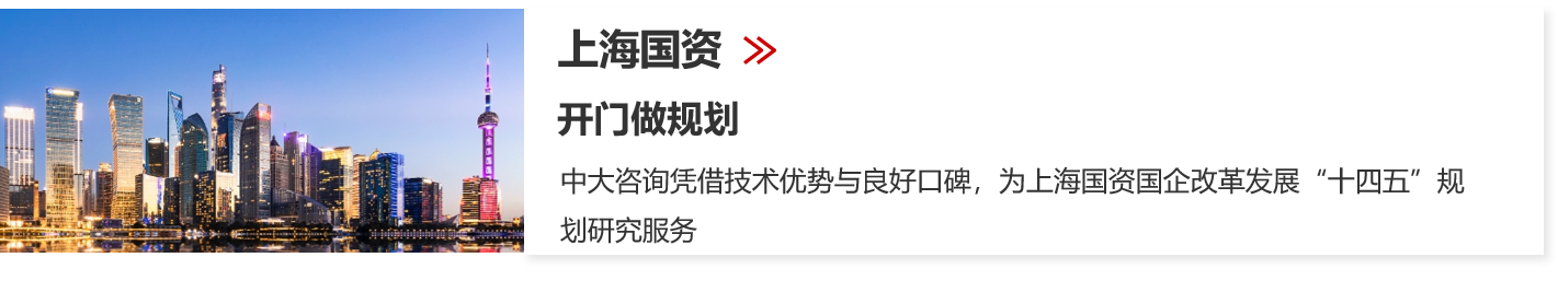 國有資本中長期規(guī)劃 國有資本中長期規(guī)劃