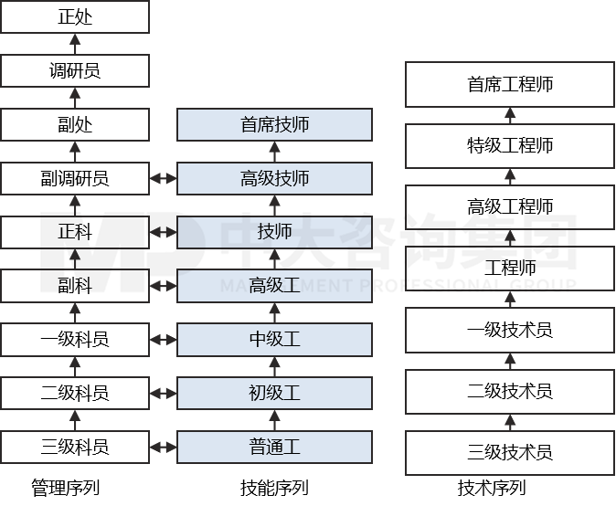 崗位管理——職業(yè)發(fā)展通道設計 崗位管理——職業(yè)發(fā)展通道設計