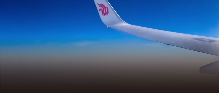 深圳航空有限責(zé)任公司企業(yè)文化咨詢(xún)項(xiàng)目